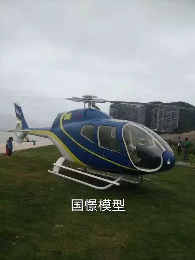 肇庆飞机模型